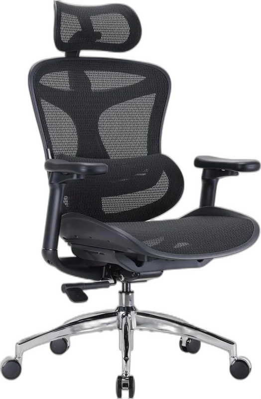 Sihoo Doro C300